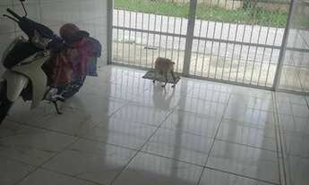 Imagem 4: Casa Sobrado Casa com 2 dormitórios