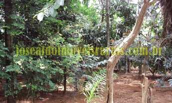 Imagem 5: Sítio 7,25 alqueires, 100% plano, formado, 19 km de Monte Alegre