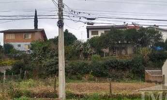 Imagem 2: FARROUPILHA - Terreno Padrão - Medianeira