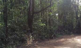 Imagem 1: Área em Macacos Nova Lima