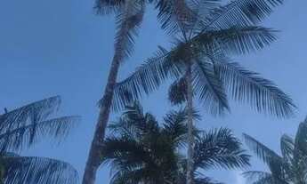 Imagem 3: Sítio excelente