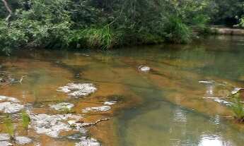 Imagem 2: Fazenda a venda em Buritis MG com escritura 54 hetares