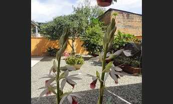 Imagem 7: Excelente residência em localização privilegiada no Bairro Aventureiro