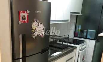 Imagem 4: São Paulo - Apartamento Padrão - Belenzinho