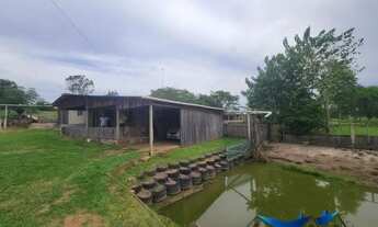 Imagem: Velleda oferece ótimo sítio com casa campeira