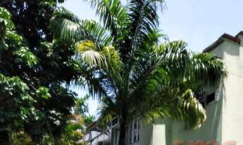 Imagem 3: No verde do Jardim Botânico, com estilo e rara economia