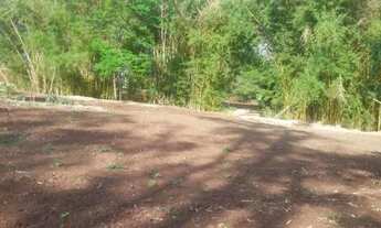 Imagem 2: VENDA Fazenda / sítio com venda por R$380.000