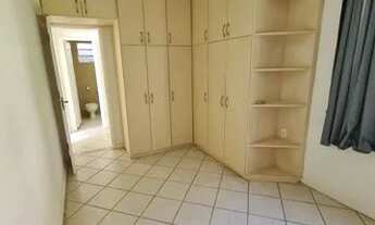 Imagem 4: LARANJEIRAS VERDE