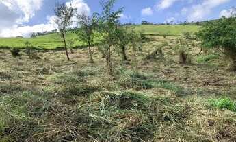 Imagem: VENDE-SE TERRENO PARA MORADIA EM AREA RURAL