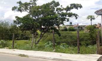 Imagem: Terreno Lagarto