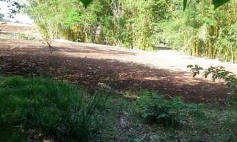 Imagem 5: VENDA Fazenda / sítio com venda por R$380.000