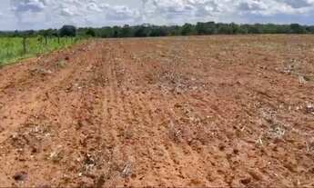 Imagem 6: . Uma fazenda 238 alqueires. 85 km de Pedro Afonso Tocan .. 2