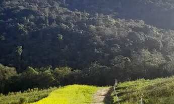 Imagem 2: Lote/Terreno para venda tem 600 metros quadrados