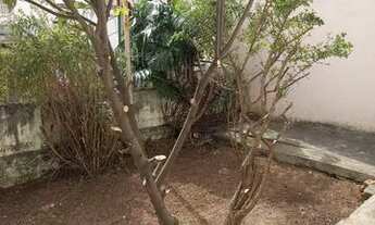 Imagem 3: Casa para aluguel com 150 metros quadrados com 3 quartos em Jaguaré - São Paulo - São Paul