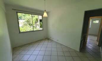 Imagem: LARANJEIRAS VERDE