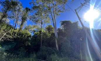 Imagem 4: Sítio em Taquara próximo do asfalto