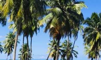 Imagem 4: Apartamento beira-mar em guaxuma