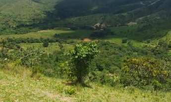 Imagem 2: Fazenda de 102 alqueires em Padre Bernardo Go