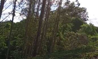 Imagem 7: VENDA Fazenda / sítio com venda por R$1.300.000