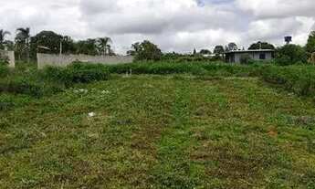 Imagem 6: Oportunidade lote 300 MTS Cána do Reino 26 de setembro r$ 90 mil