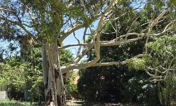 Imagem 5: Terreno à venda em Indaiatuba, Itaici, com 2350 m², Residencial Vale das Laranjeiras