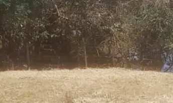 Imagem 6: Terreno com água no fundo