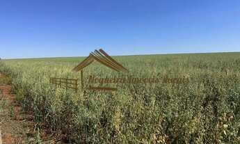 Imagem 5: Sitio com 3,5 alqueires em Tatuí-SP