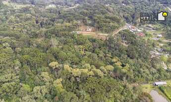 Imagem 7: Terreno à venda, 5000 m² - Palmitalzinho - Quatro Barras/Paraná