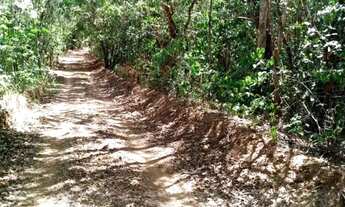 Imagem 4: Chácara para Venda em Abadiânia, Zona rural