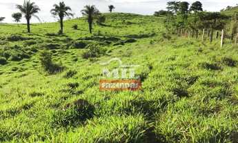 Imagem: Fazenda em Baliza-GO. Área Total 820 Alqueires