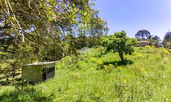 Imagem 3: Vendas Área Colombo PR