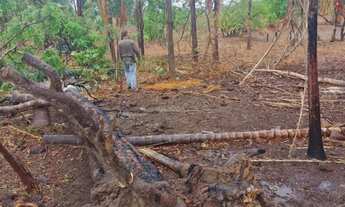 Imagem 3: FAZENDA 354 ALQUEIRES COLINAS DO SUL (GO