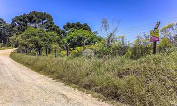 Imagem 2: Vendas Área Colombo PR