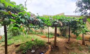 Imagem: Terreno Plano 160m² à venda no bairro