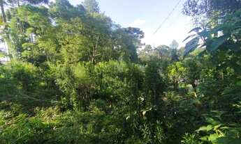 Imagem 5: Ótima Casa com 2 dormitórios à venda, DORIZON , MALLET - PR