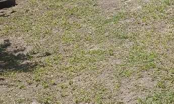 Imagem 2: Casa No Marambaia São Gonçalo