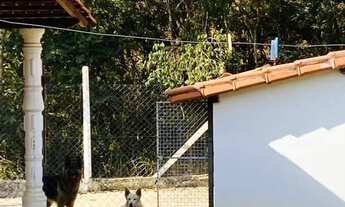 Imagem 4: Imóvel para venda tem 5000 metros quadrados com 4 quartos em C - Crucilândia - MG