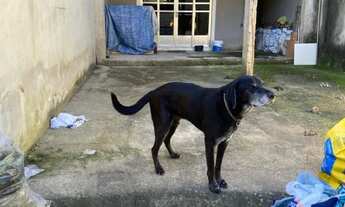 Imagem: CASA EM BARRA MANSA 1 QUARTO, GARAGEM
