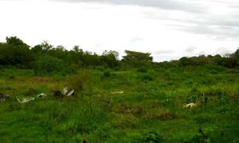 Imagem 2: Área para Investimento 13.000 m² márgem da RS 040 quase centro de Viamã