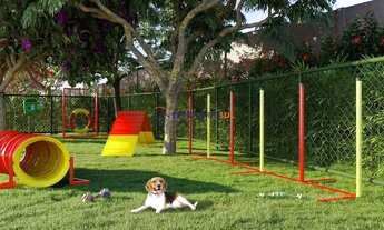 Imagem 6: Apartamento em Campo Novo