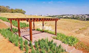 Imagem 5: Plateau Dor Unique