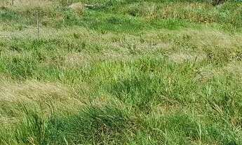 Imagem 5: ? LOTE A VENDA ?