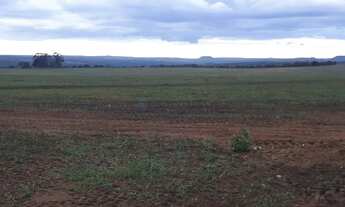 Imagem 6: Àrea de 768 hectares na região da cidade de Itiquira no estado do Mato Grosso MT