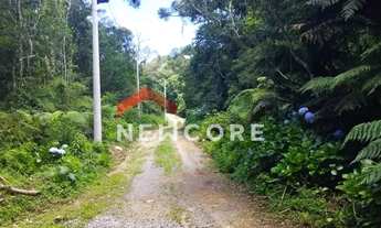 Imagem 6: Lote em Rua 1 - Colinas - São Francisco de Paula/RS