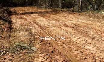 Imagem 6: Oportunidade Única no Bairro Lagoa