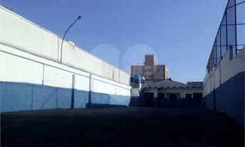 Imagem 3: Galpão comercial para alugar em Butantã, São Paulo - SP