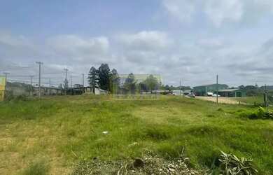 Imagem 5: Área à venda com 5546.09m² por R$ 4.400.000,00 no bairro Guaraituba - COLOMBO