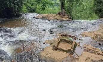Imagem 3: Venda-se 2 alqueires e 10 litros de mata no Município de Mimoso do Sul/ES