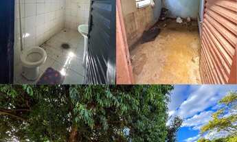 Imagem 6: Vendo Fazenda em Girassol - Cocalzinho GO