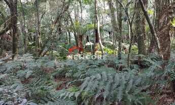 Imagem: Lote em Rua 1 - Colinas - São Francisco